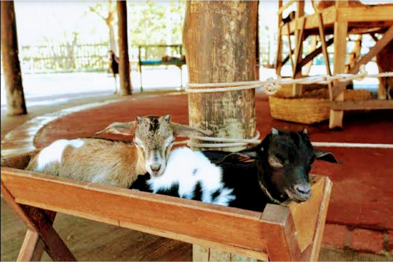 Olimpia Park Resort - Resort Em Olímpia מראה חיצוני תמונה